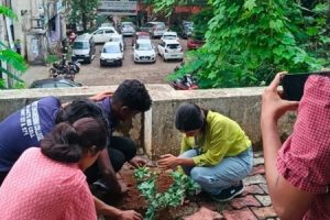 Tree Planting Campaign